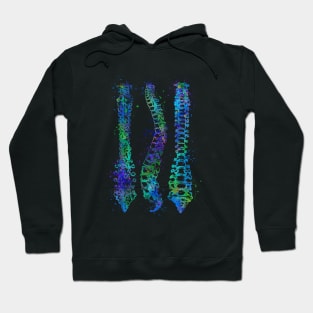 Human Spine Colorful Anatomy Artwork Hoodie